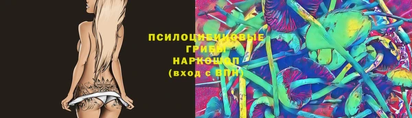 винт Аркадак