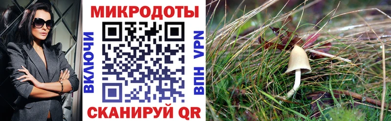 Галлюциногенные грибы Psilocybine cubensis  купить наркотик  Ленинск 